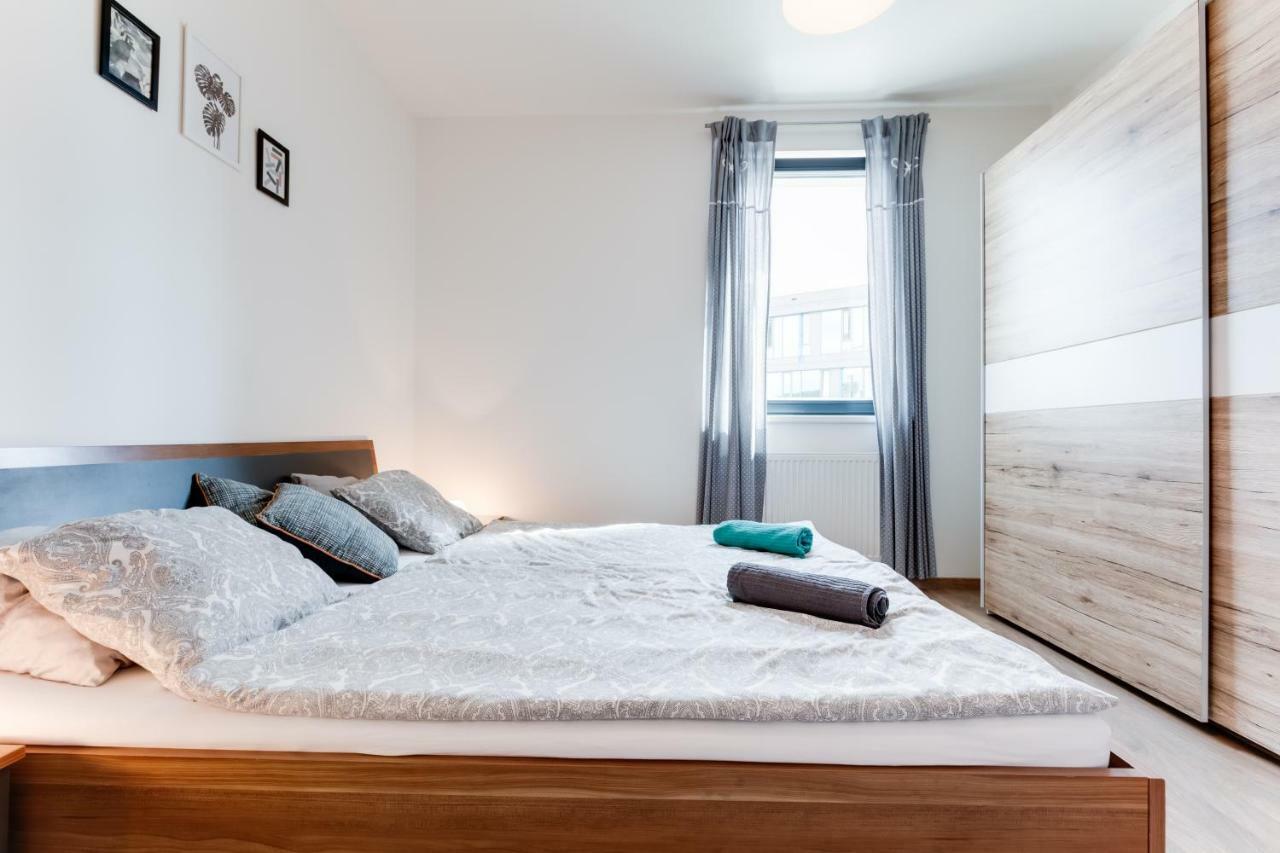 Stylish In Waltrovka Apartment Prague